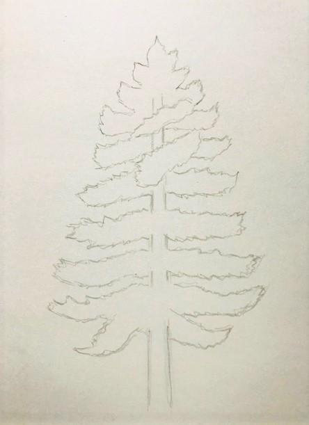 アニメ風の針葉樹の描き方を初心者の方に丁寧に解説 イラスト日和