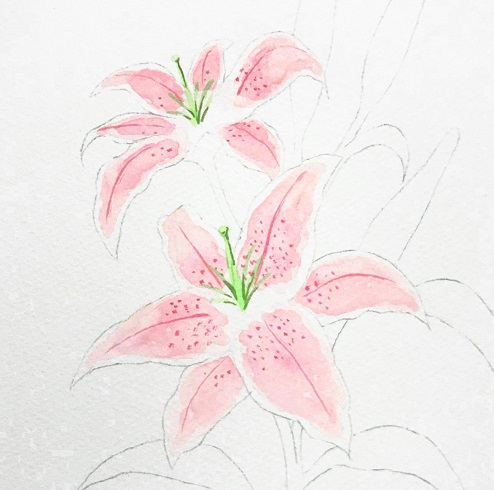 水彩でユリの花を描こう 初心者の方へ楽しく丁寧に描き方を解説 イラスト日和