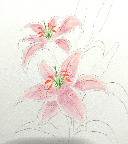 水彩でユリの花を描こう 初心者の方へ楽しく丁寧に描き方を解説 イラスト日和