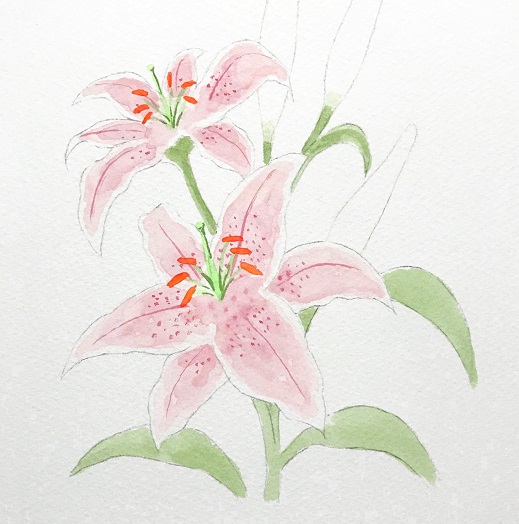 水彩でユリの花を描こう 初心者の方へ楽しく丁寧に描き方を解説 イラスト日和