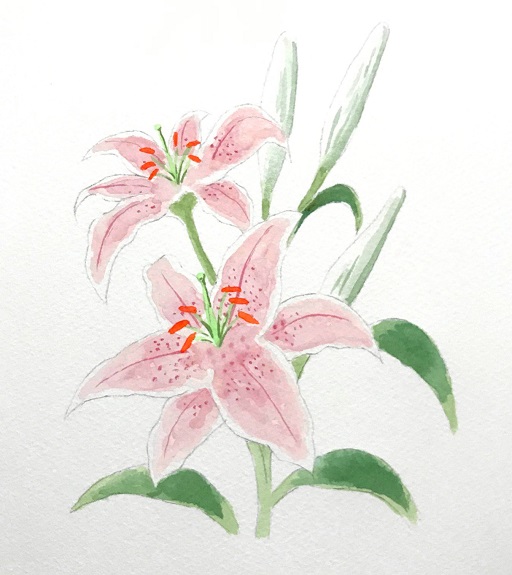 絵手紙 百合 の 花 イラスト 描き 方 2695