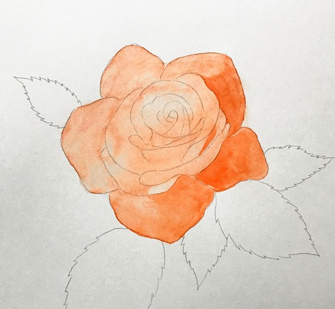 水彩でバラの花を描こう 初心者の方へ楽しく丁寧に描き方を解説 イラスト日和