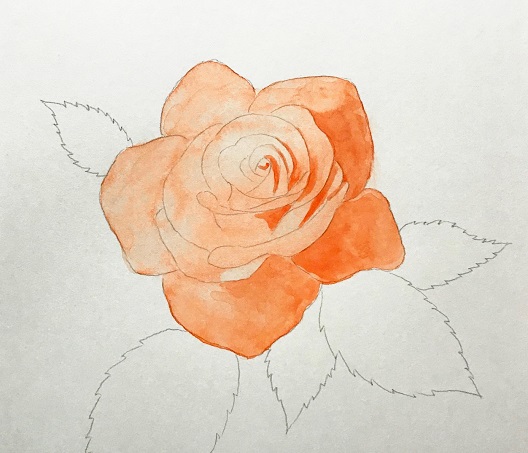 水彩でバラの花を描こう 初心者の方へ楽しく丁寧に描き方を解説 イラスト日和