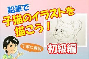 鉛筆で眼を描こう 美しい瞳の簡単な描き方を丁寧に解説 イラスト日和