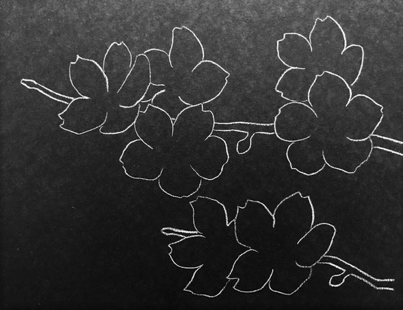 色鉛筆で夜桜を描こう 風情ある夜桜の描き方を丁寧に解説 イラスト日和