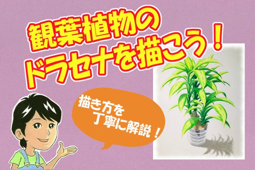 観葉植物ドラセナを描こう 人気のドラセナの描き方を丁寧に解説 イラスト日和