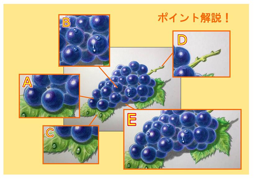 色鉛筆でぶどうをリアルに描こう ぶどうの描き方をポイント解説 イラスト日和