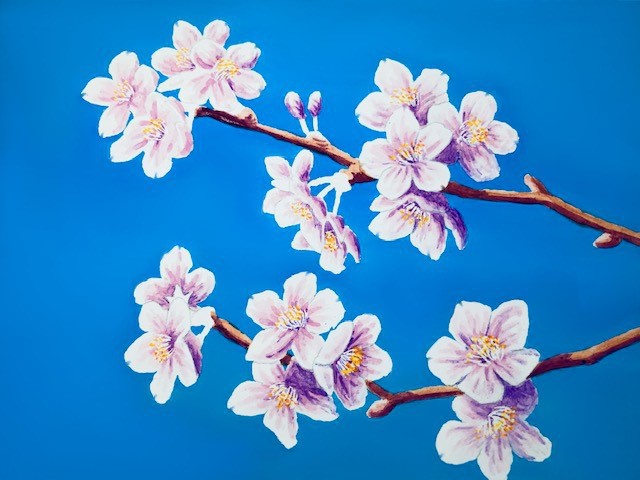 水彩で桜を描こう 可憐な桜の花の描き方を丁寧に解説 イラスト日和