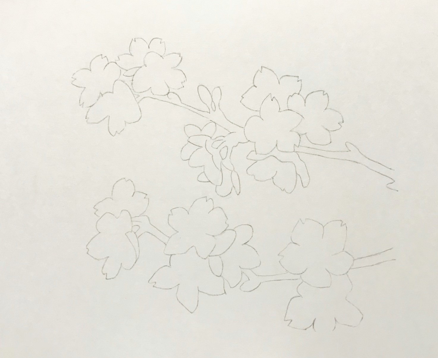 無料でダウンロード 桜 イラスト 書き方 簡単 桜 イラスト 書き方 簡単 Apixtursae7xkcf