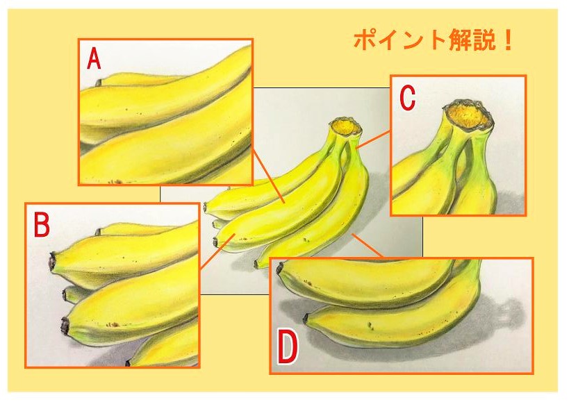 色鉛筆でバナナを描こう バナナの描き方を初心者の方へ丁寧に解説 イラスト日和