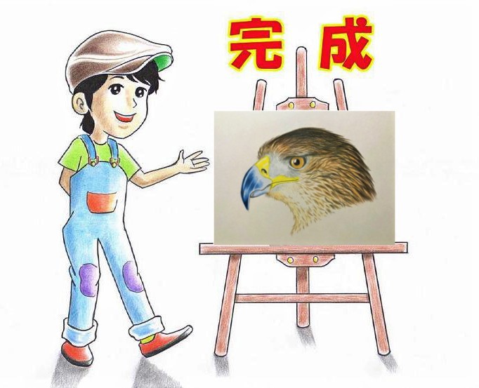 色鉛筆で鷹 タカ を描こう 人気の鷹の描き方を丁寧に解説 イラスト日和