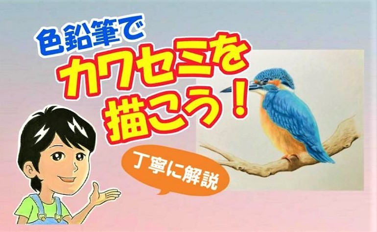 色鉛筆でカワセミを描こう カワセミ 翡翠 の描き方を丁寧に解説 イラスト日和