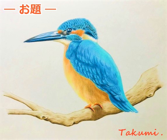 色鉛筆でカワセミを描こう カワセミ 翡翠 の描き方を丁寧に解説 イラスト日和