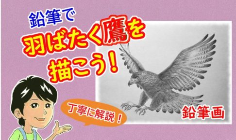 鉛筆で鷹のイラストを描こう 飛翔する鷹の描き方を丁寧に解説 イラスト日和