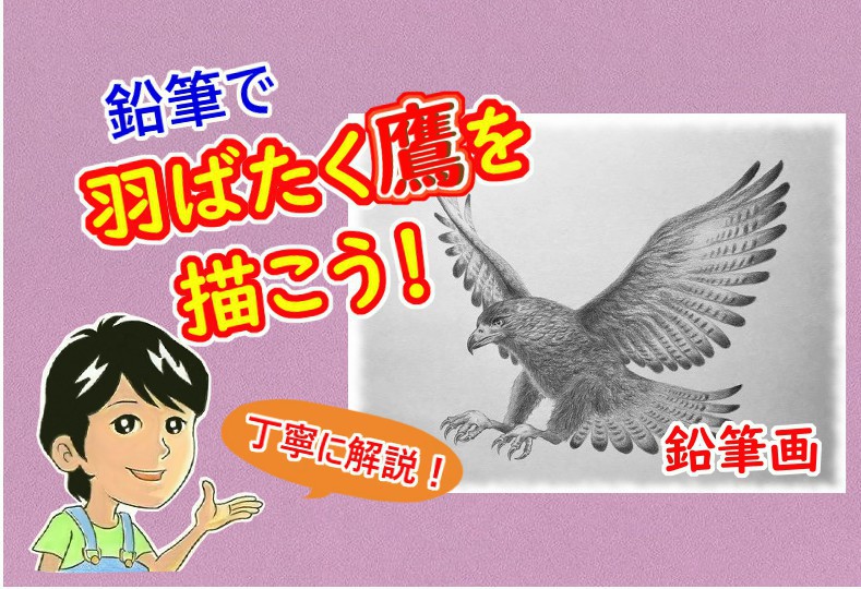 鉛筆で鷹のイラストを描こう 飛翔する鷹の描き方を丁寧に解説