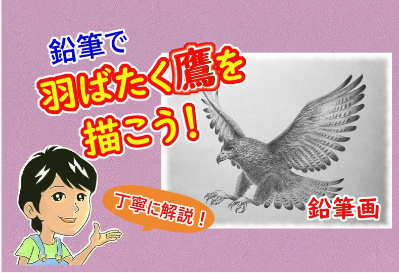 70以上 イラスト 鷹 ただの動物の画像