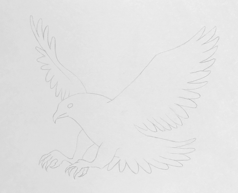 鉛筆で鷹のイラストを描こう 飛翔する鷹の描き方を丁寧に解説 イラスト日和