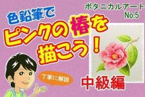 色鉛筆で紫陽花を描こう 薄紫色のアジサイの描き方を丁寧に解説 イラスト日和