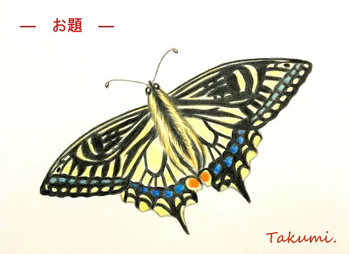 リアル 蝶々 イラスト 簡単 100 ベストミキシング写真 イラストレーション
