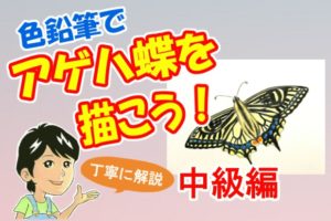 色鉛筆でバナナを描こう バナナの描き方を初心者の方へ丁寧に解説 イラスト日和