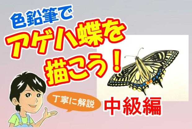 色鉛筆でカブト虫を描こう 子供に人気のカブト虫の描き方を解説 イラスト日和