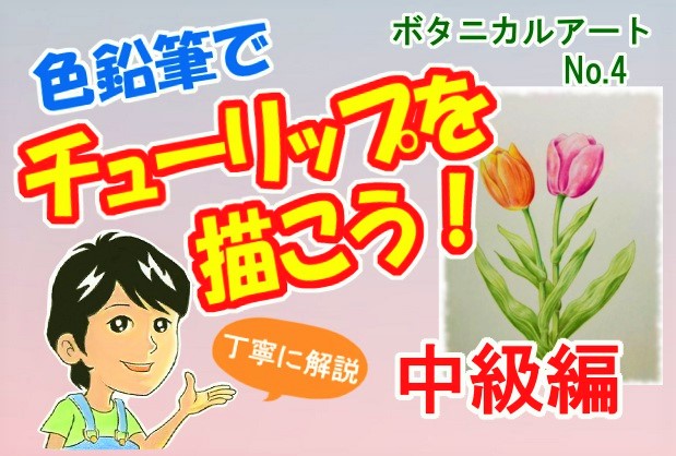 色鉛筆で桜の花を描こう 絵手紙にも使える桜の描き方を初心者の方へ丁寧に解説 イラスト日和