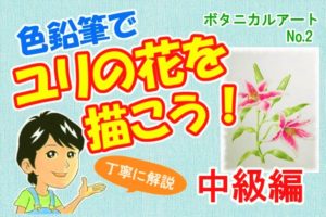 色鉛筆で紫陽花を描こう 薄紫色のアジサイの描き方を丁寧に解説 イラスト日和