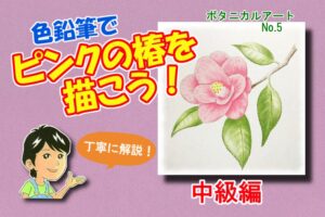 色鉛筆で桜の花を描こう 絵手紙にも使える桜の描き方を初心者の方へ丁寧に解説 イラスト日和