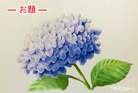 慣らす スケルトン オートメーション 紫陽花 色鉛筆 画 Ryogujo Jp