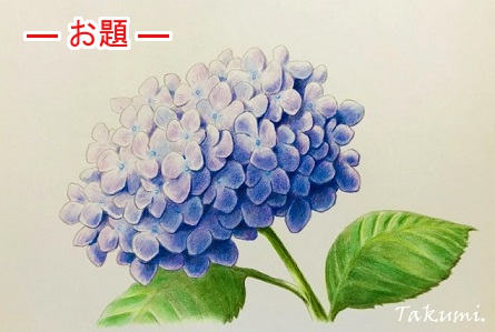 色鉛筆で紫陽花を描こう 薄紫色のアジサイの描き方を丁寧に解説 イラスト日和