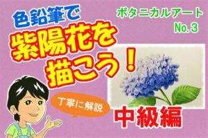 色鉛筆で桜の花を描こう 絵手紙にも使える桜の描き方を初心者の方へ丁寧に解説 イラスト日和