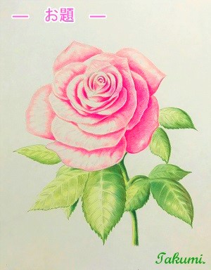 色鉛筆でバラをリアルに描こう ピンクのバラの描き方を丁寧に解説 イラスト日和