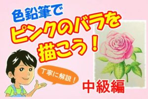 色鉛筆でいちごをリアルに描こう イチゴの描き方をポイント解説 イラスト日和