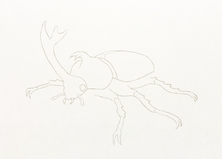 色鉛筆でカブト虫を描こう 子供に人気のカブト虫の描き方を解説 イラスト日和