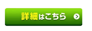 鉛筆で眼を描こう 美しい瞳の簡単な描き方を丁寧に解説 イラスト日和