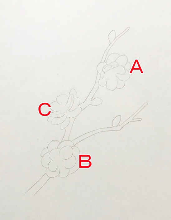 色鉛筆で梅の花を描こう 八重唐梅 やえとうばい の描き方を丁寧に解説 イラスト日和