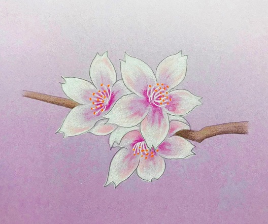 桜 イラスト 簡単 書き方