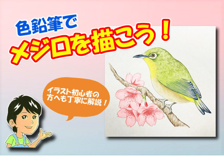 色鉛筆で桜の花を描こう 絵手紙にも使える桜の描き方を初心者の方へ丁寧に解説 イラスト日和