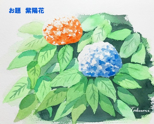 水彩絵の具で紫陽花を描こう マスキングの効果的な使用方法を解説 イラスト日和