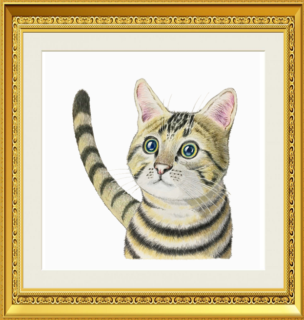 ステップアップ講座 色鉛筆で描く 猫の毛並み のご案内です イラスト日和